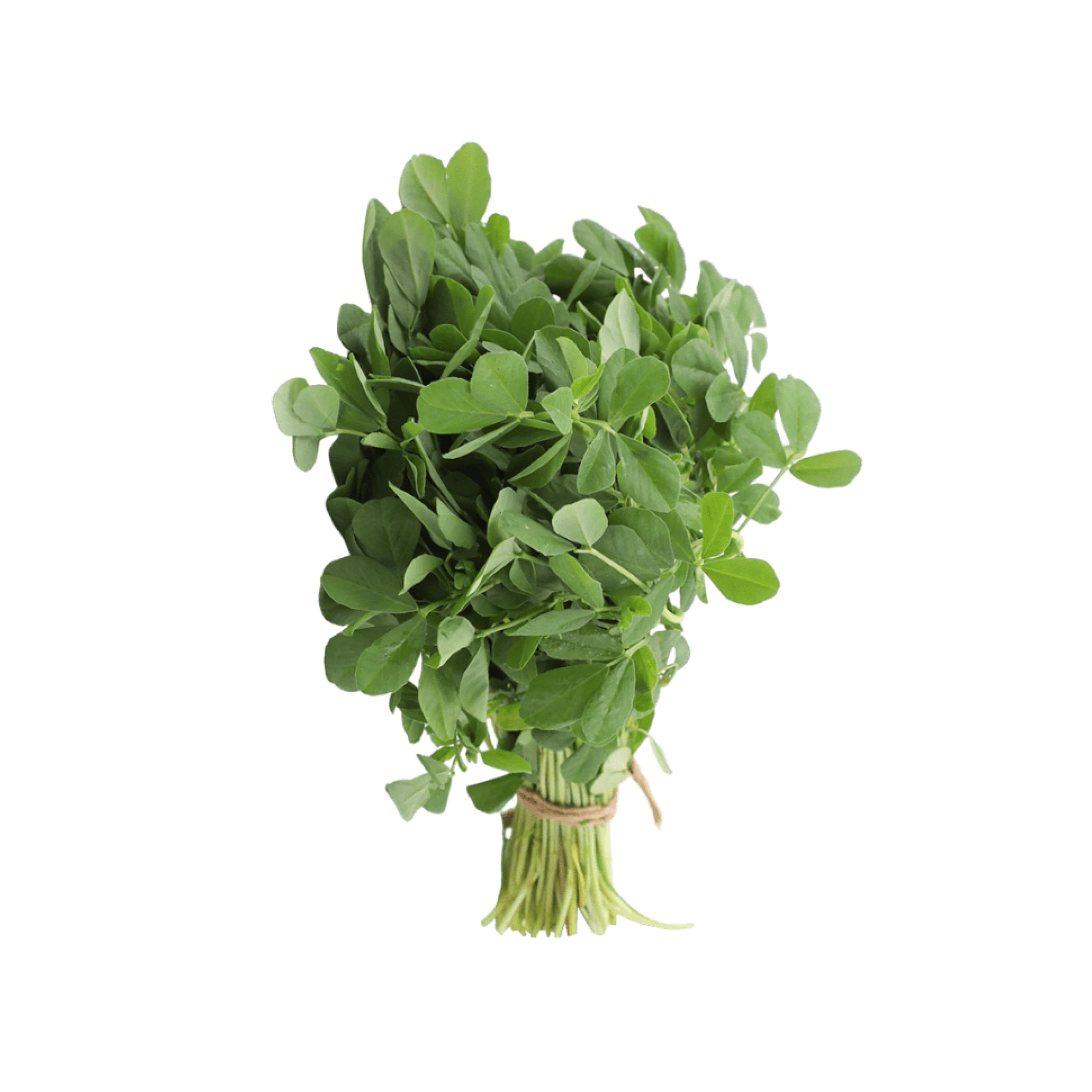fresh Methi Leaves (Fenugreek) 0.75 oz