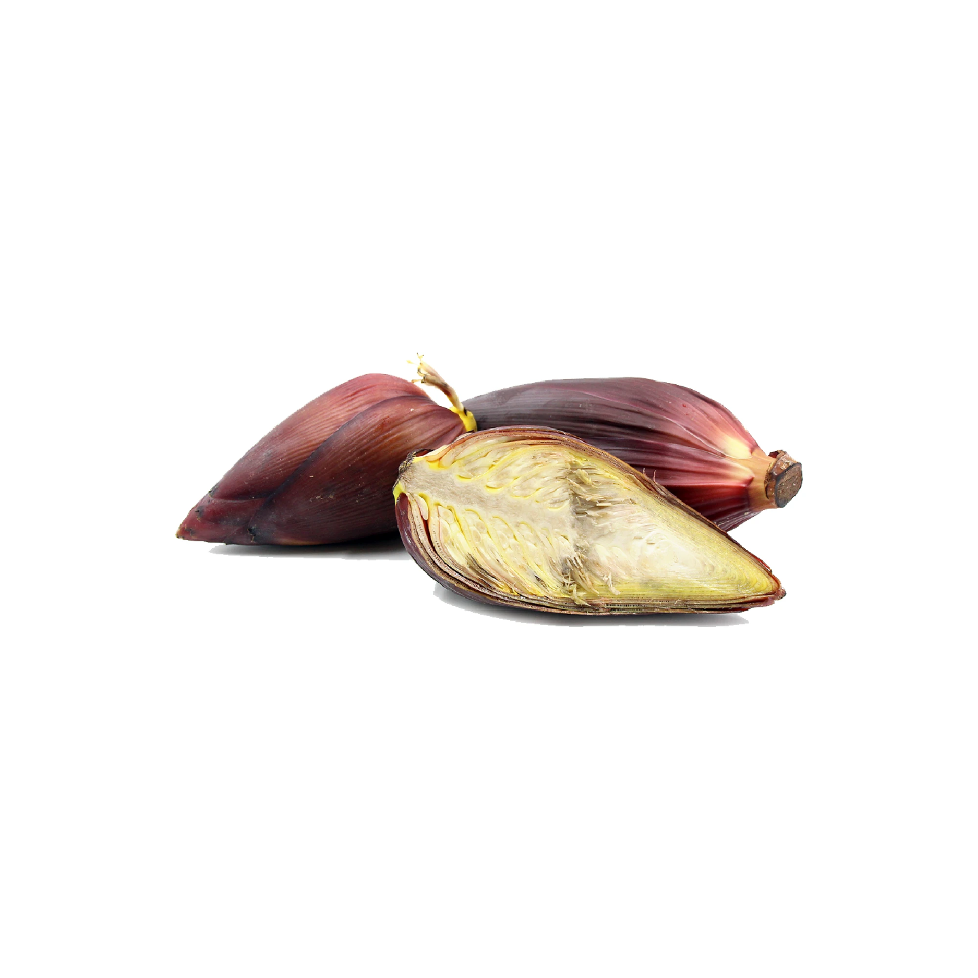 Banana Blossom 1-2 lbs.