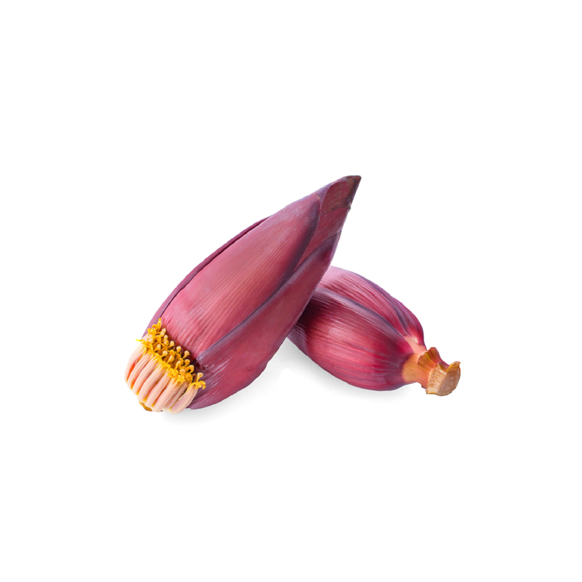 Alternative view of Banana Blossom 1-2 lbs.