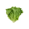 Green Leaf Lettuce Bunch 1 count
