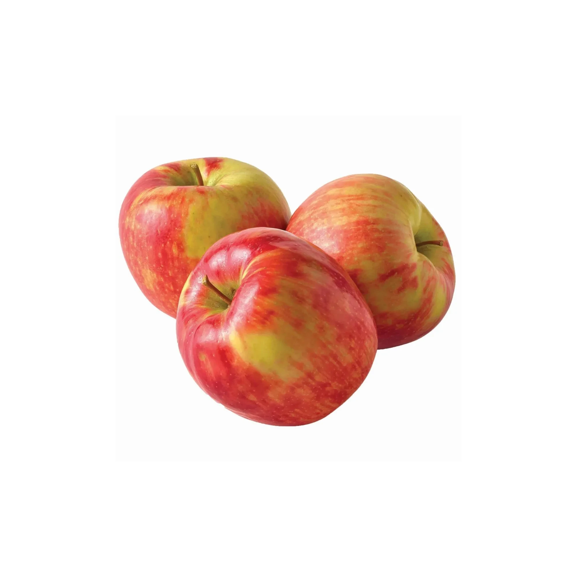 Alternative view of Honeycrisp Apples 4lbs.