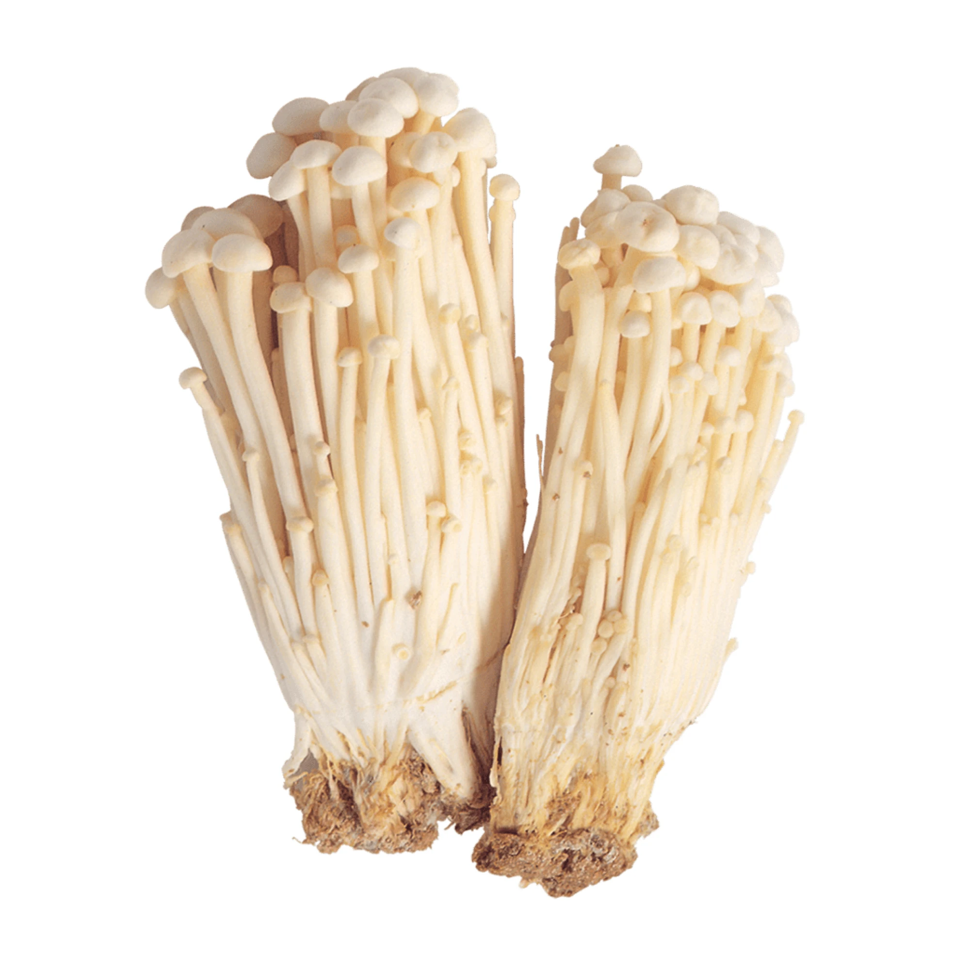 Alternative view of Enoki Mushrooms 200 g