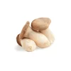 King Oyster Mushrooms 1 lb