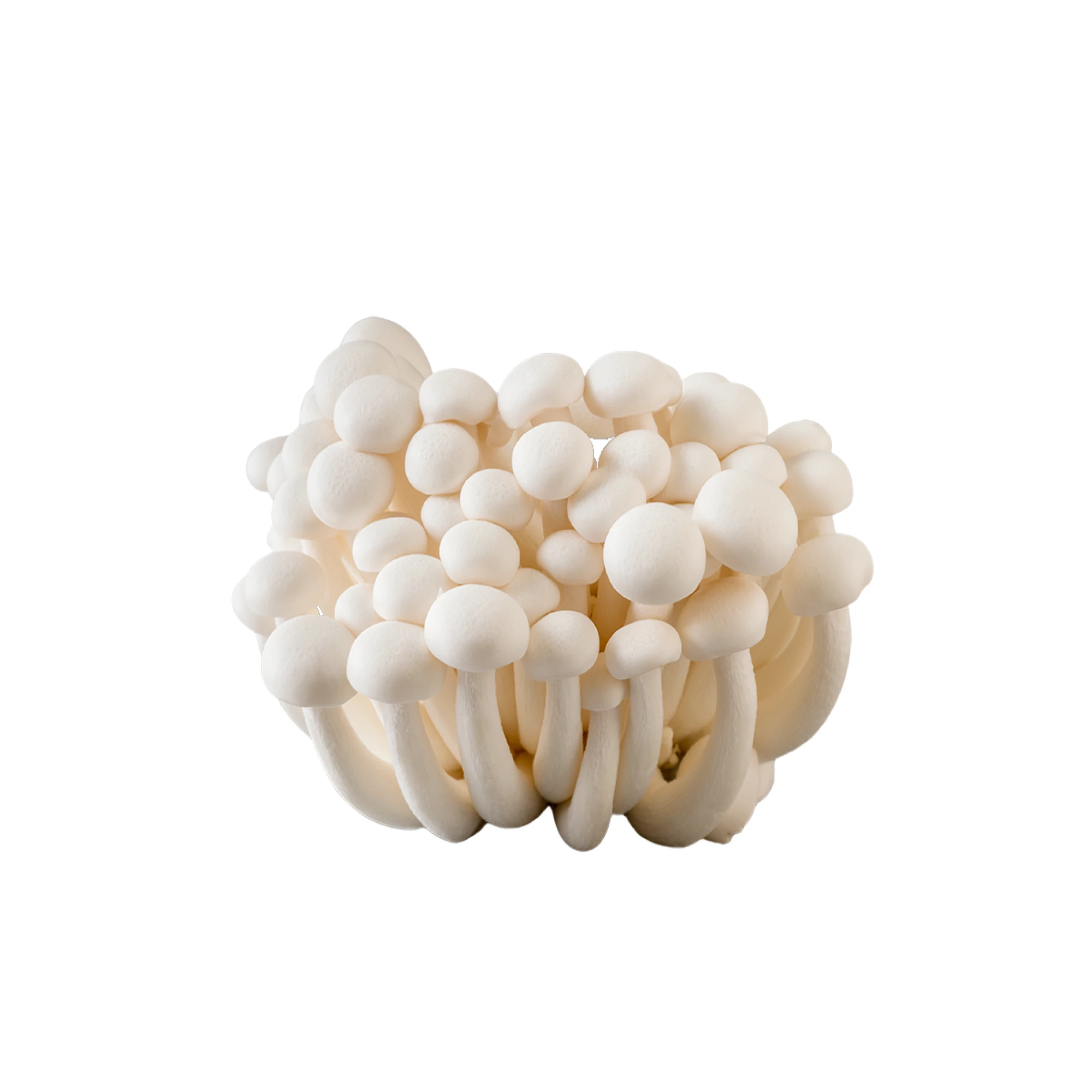 White Beech Mushrooms 150 g