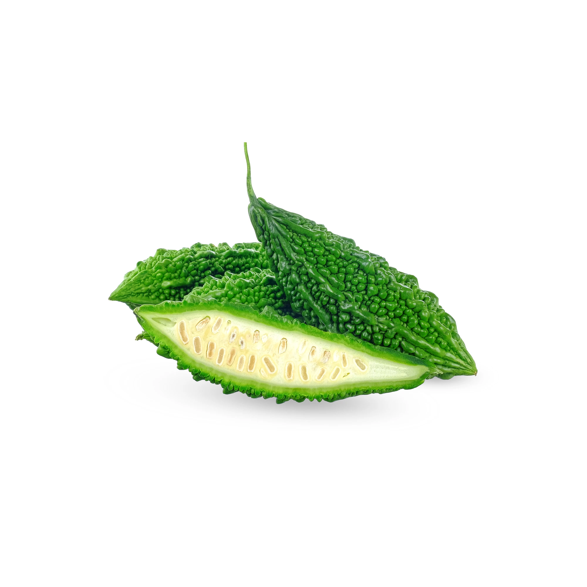 Indian Bitter Melon 2 lbs.