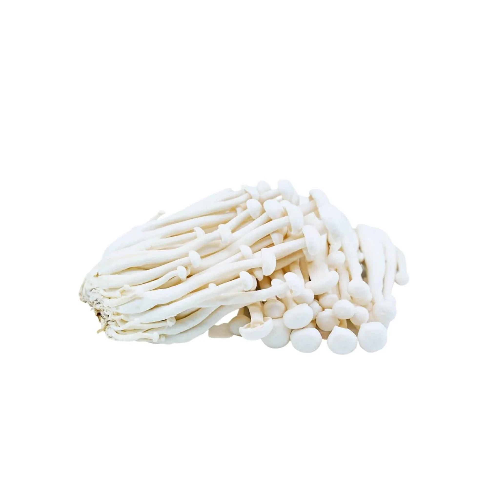 Seafood Mushroom 150 g