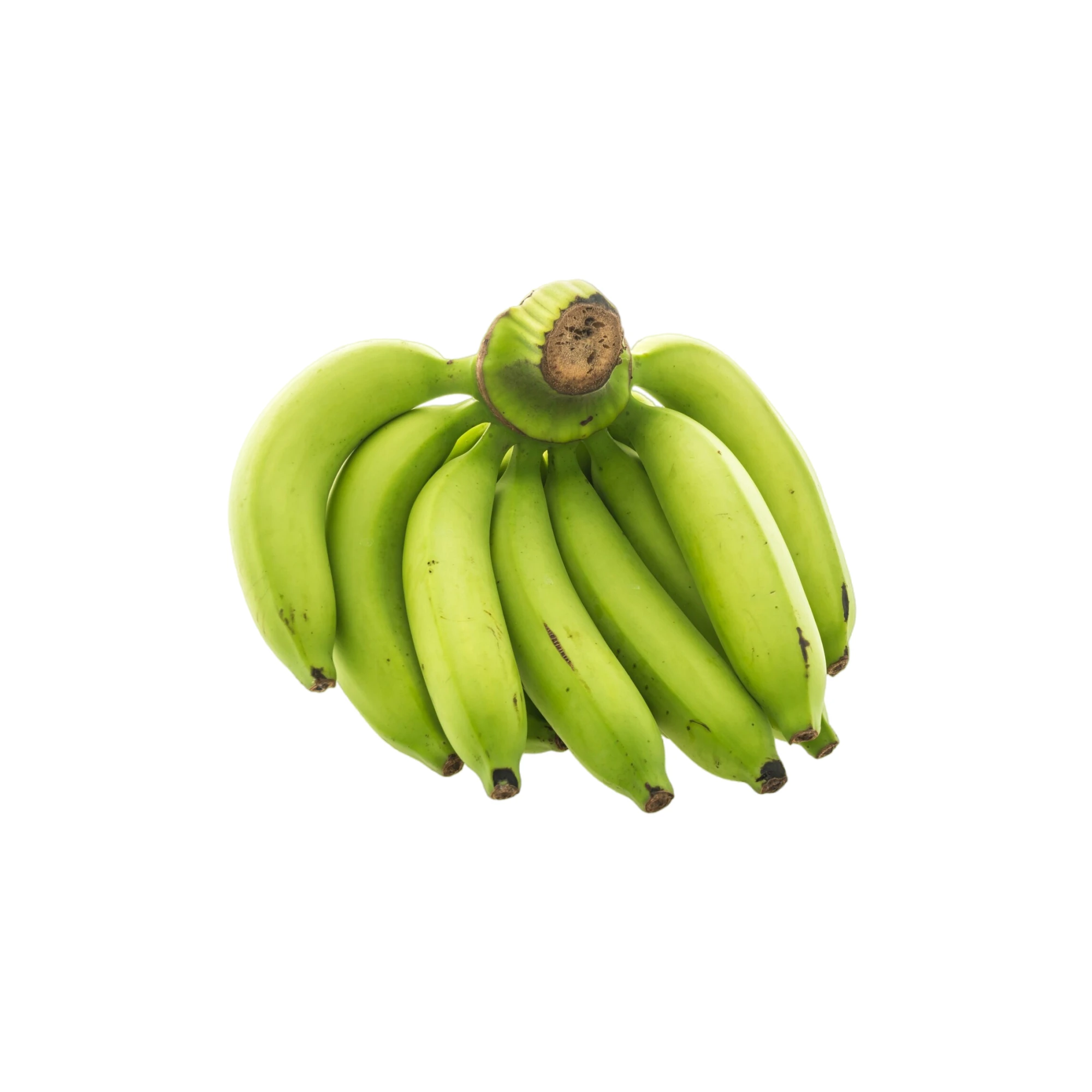 Green Plantains 1lbs.