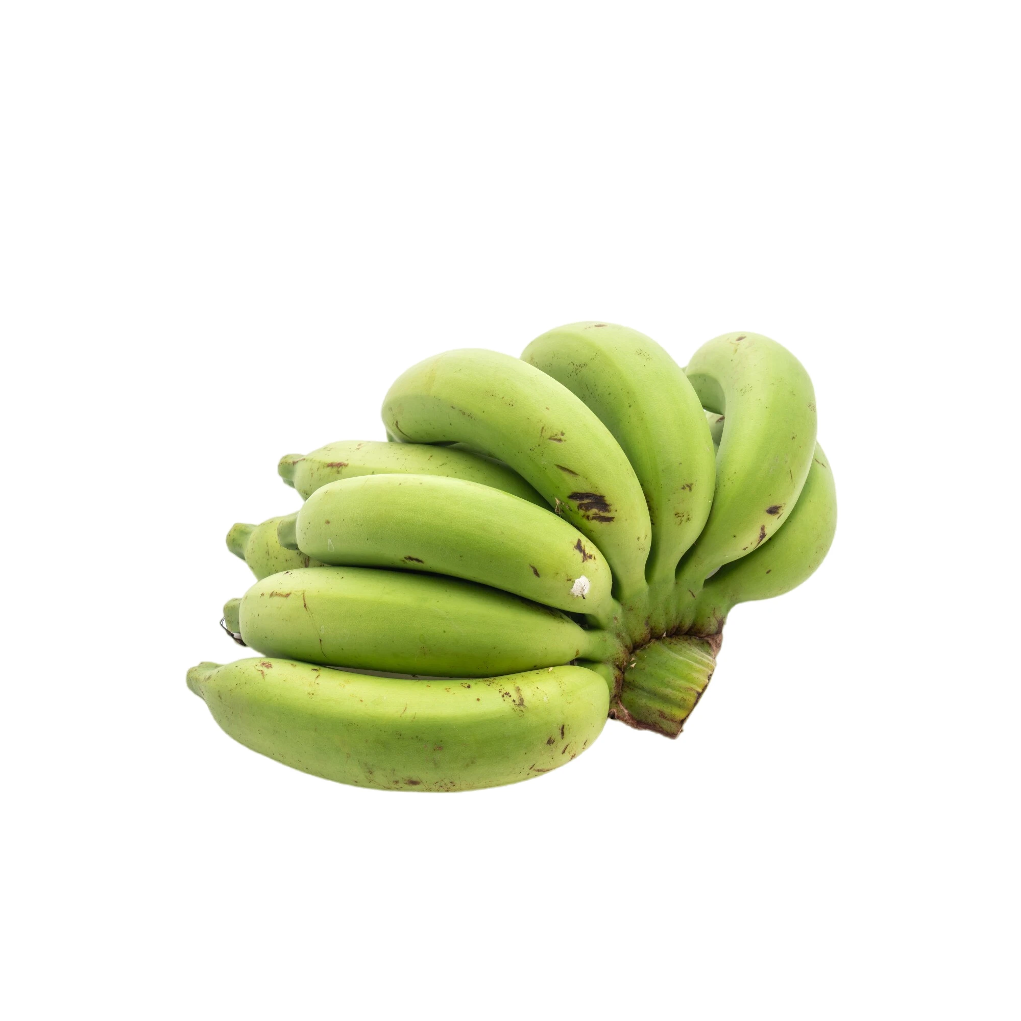 Alternative view of Green Plantains 1lbs.