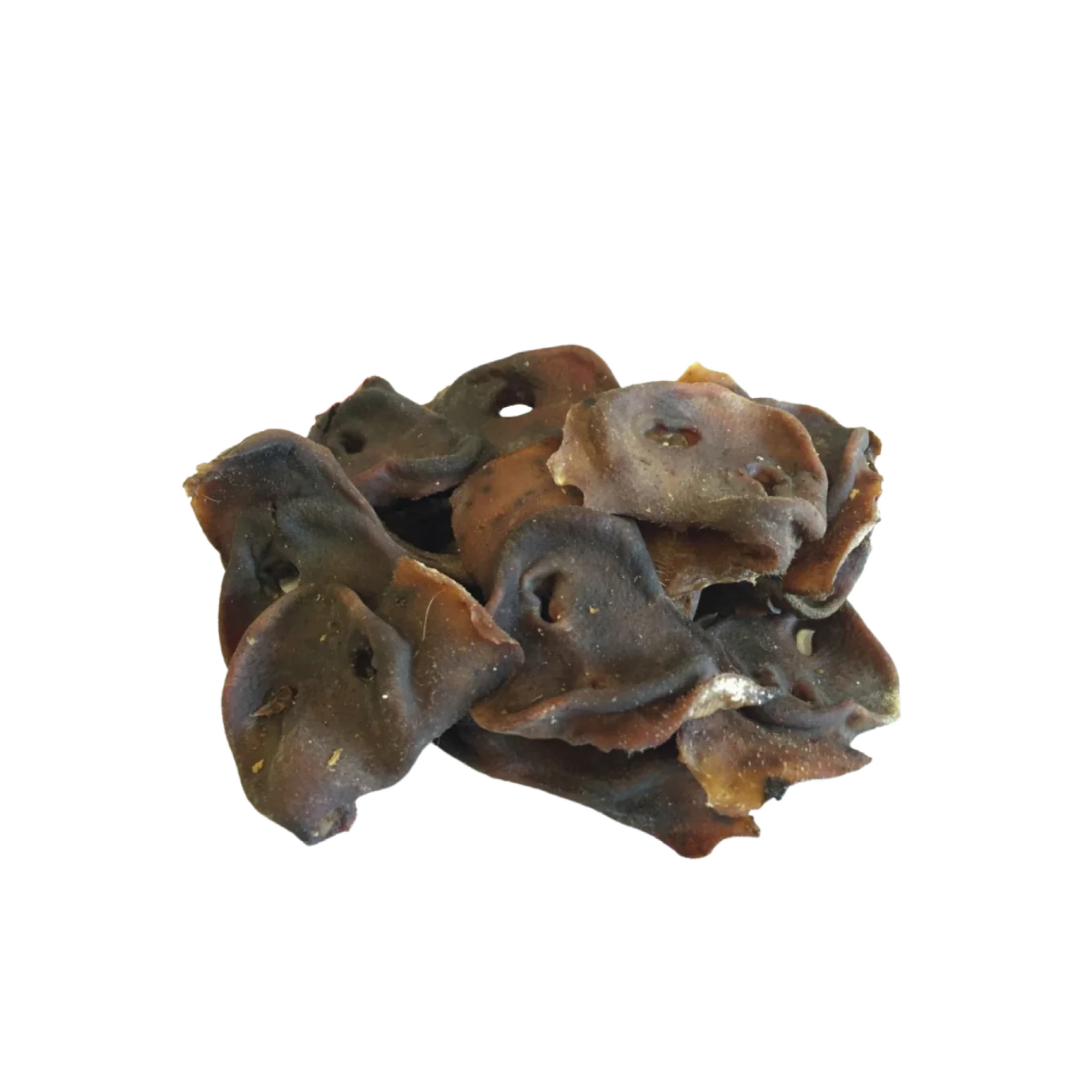 Black Wood Ear Mushroom Fungus 6 oz
