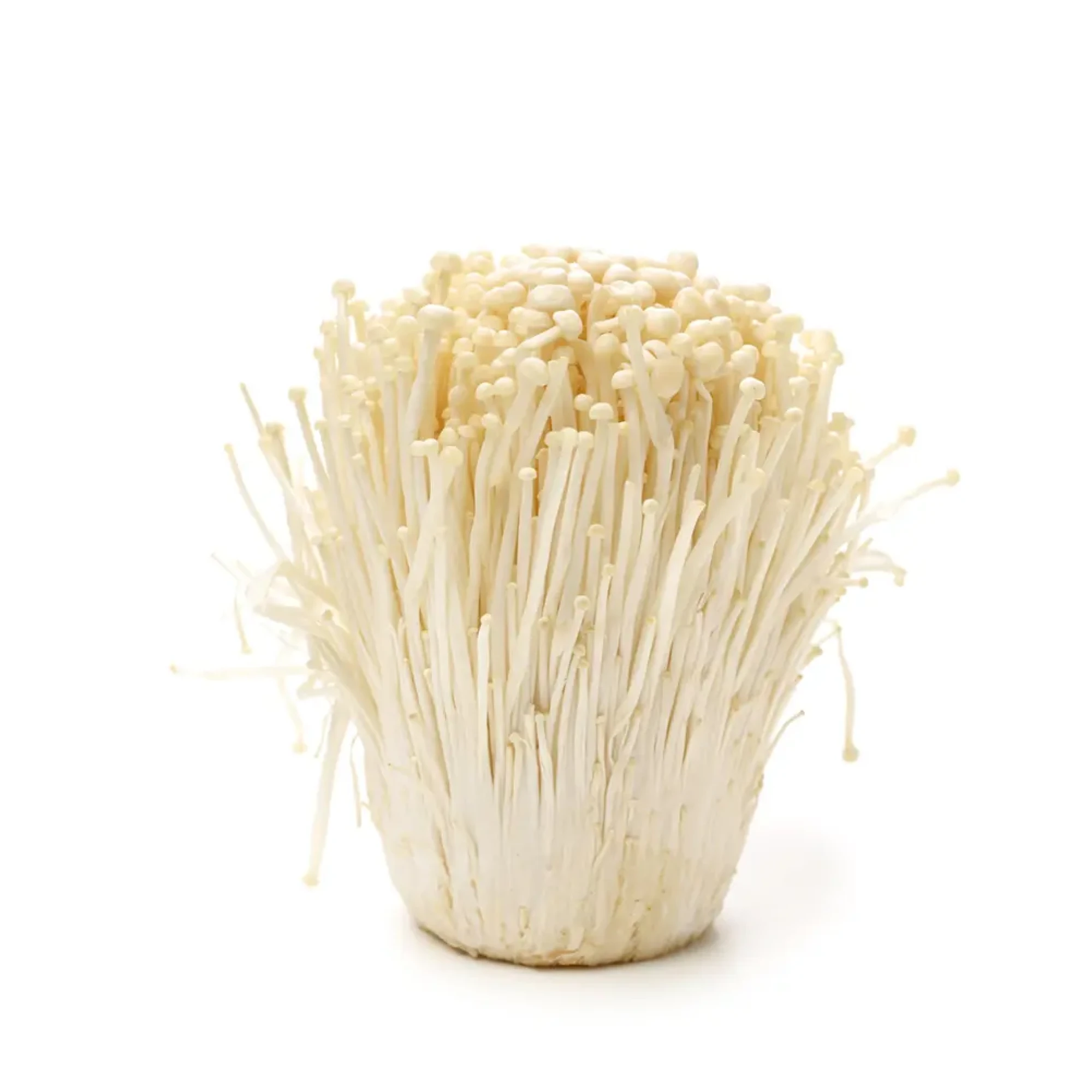 Alternative view of American Enoki Mushrooms 150 g