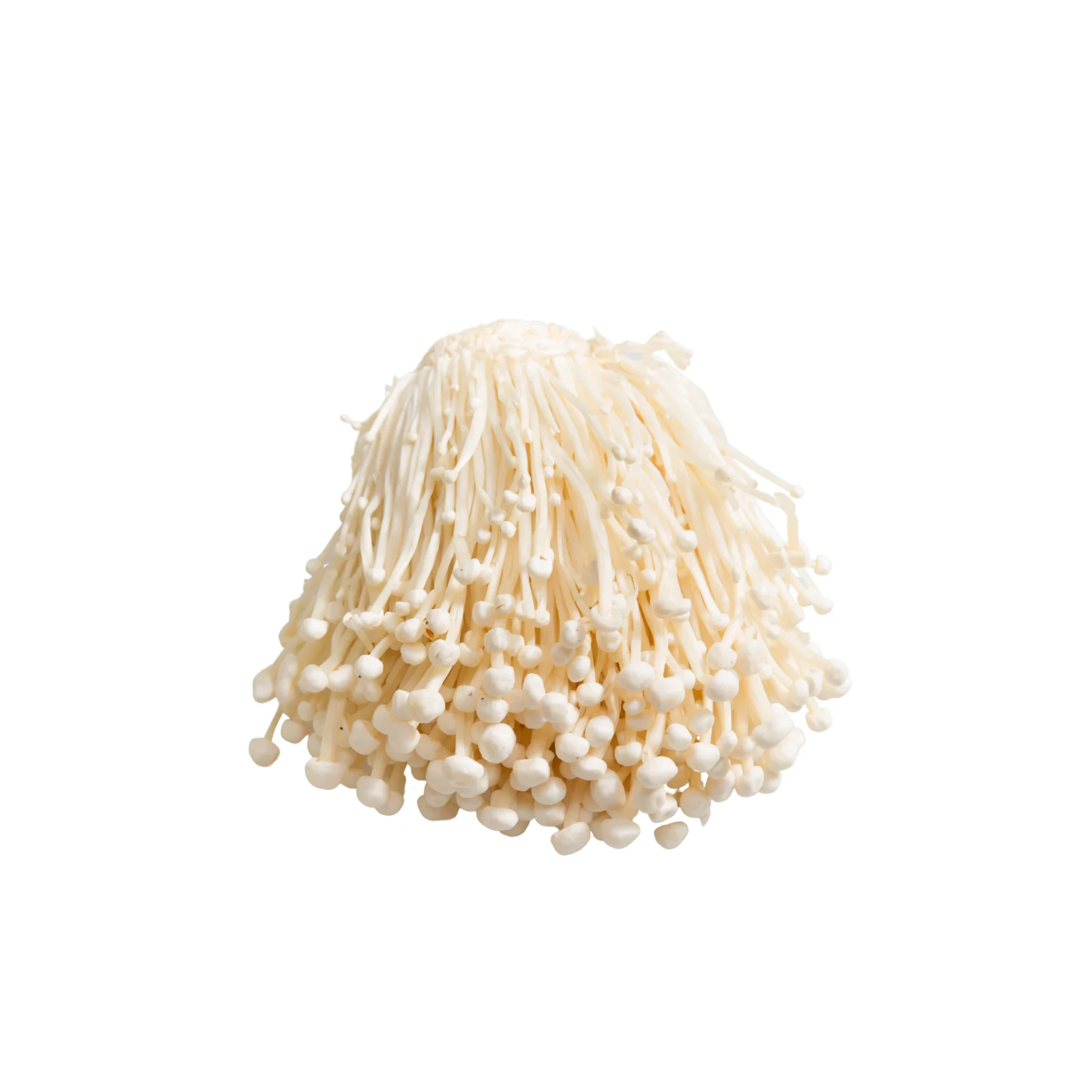 American Enoki Mushrooms 150 g
