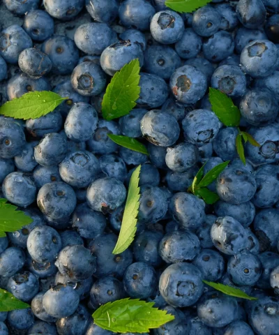 Fresh Blueberries 16oz - Image 3