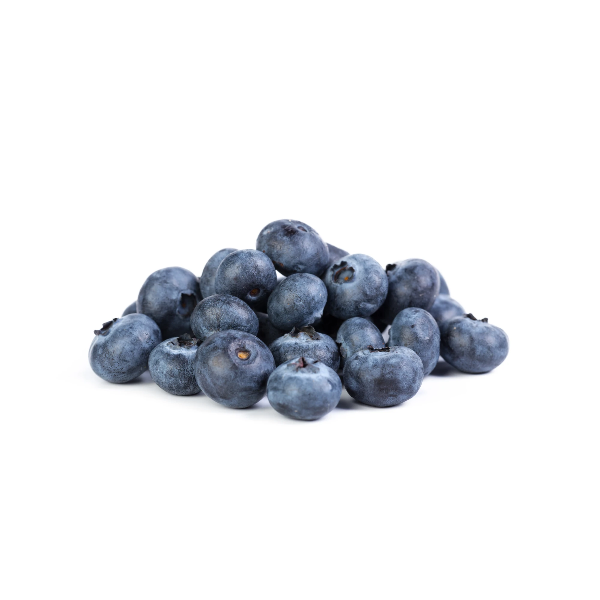 Fresh Blueberries 16oz