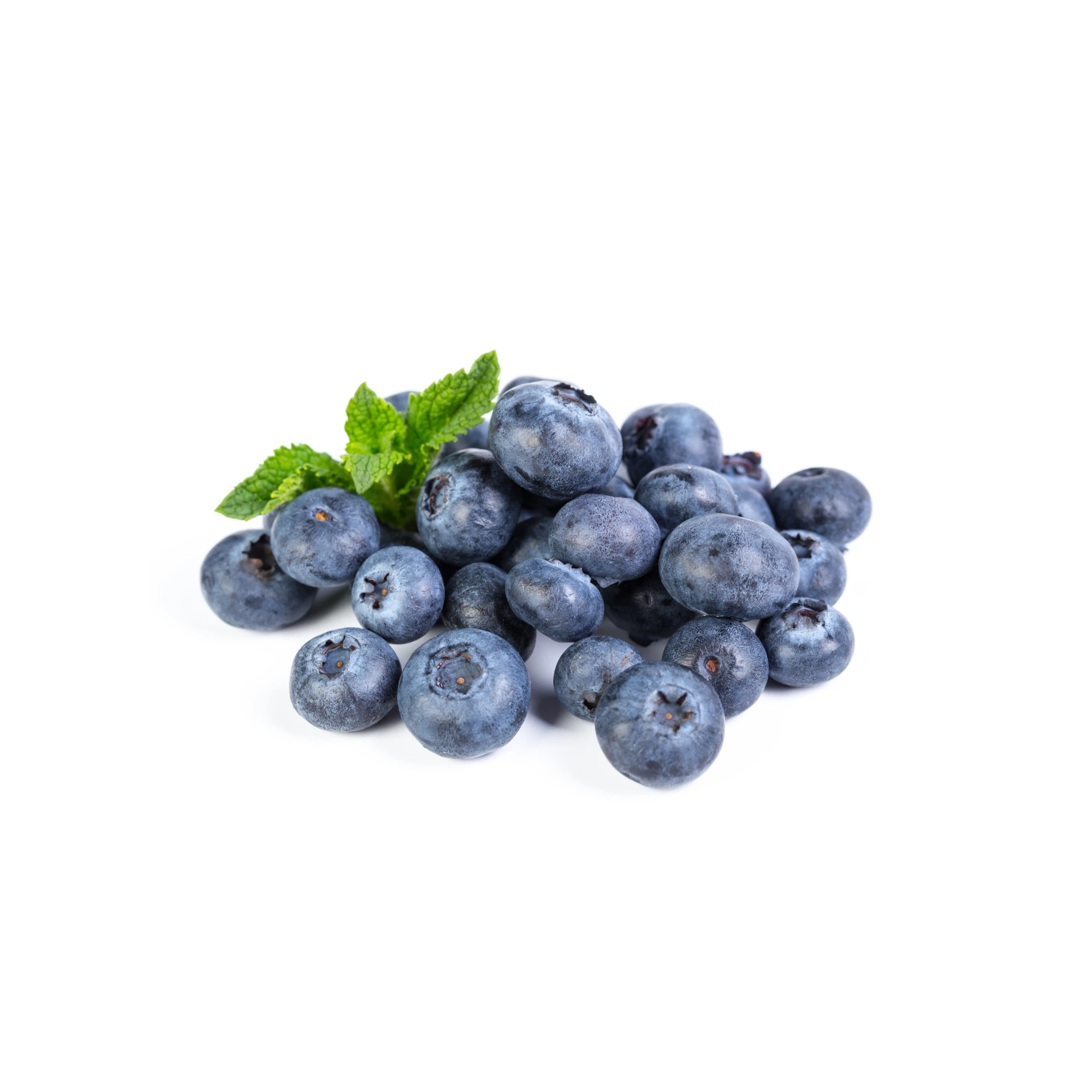 Alternative view of Fresh Blueberries 16oz