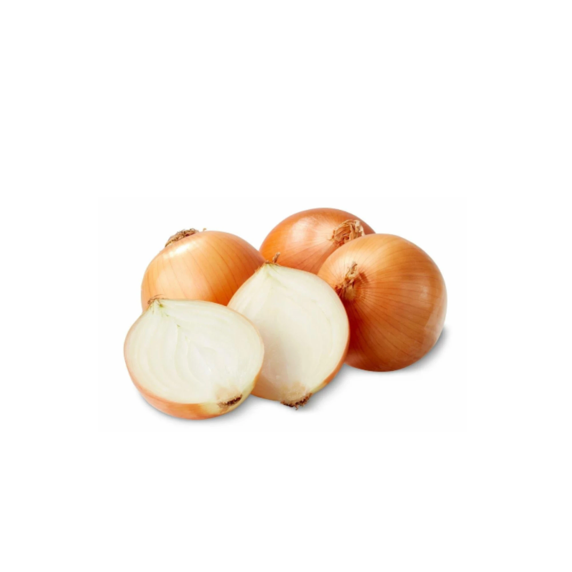 Yellow Onion 2.8 - 3.2lbs.