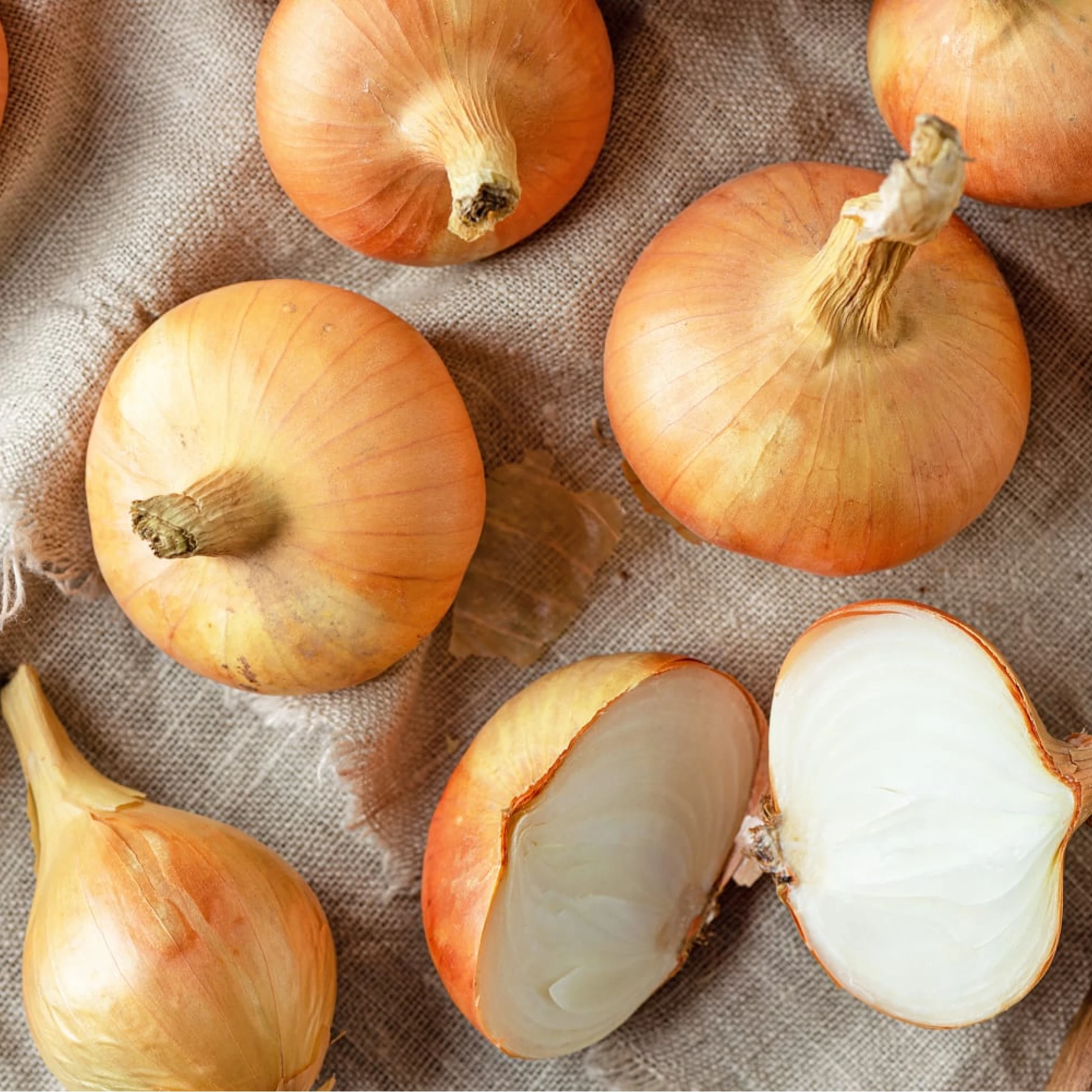 Alternative view of Yellow Onion 2.8 - 3.2lbs.