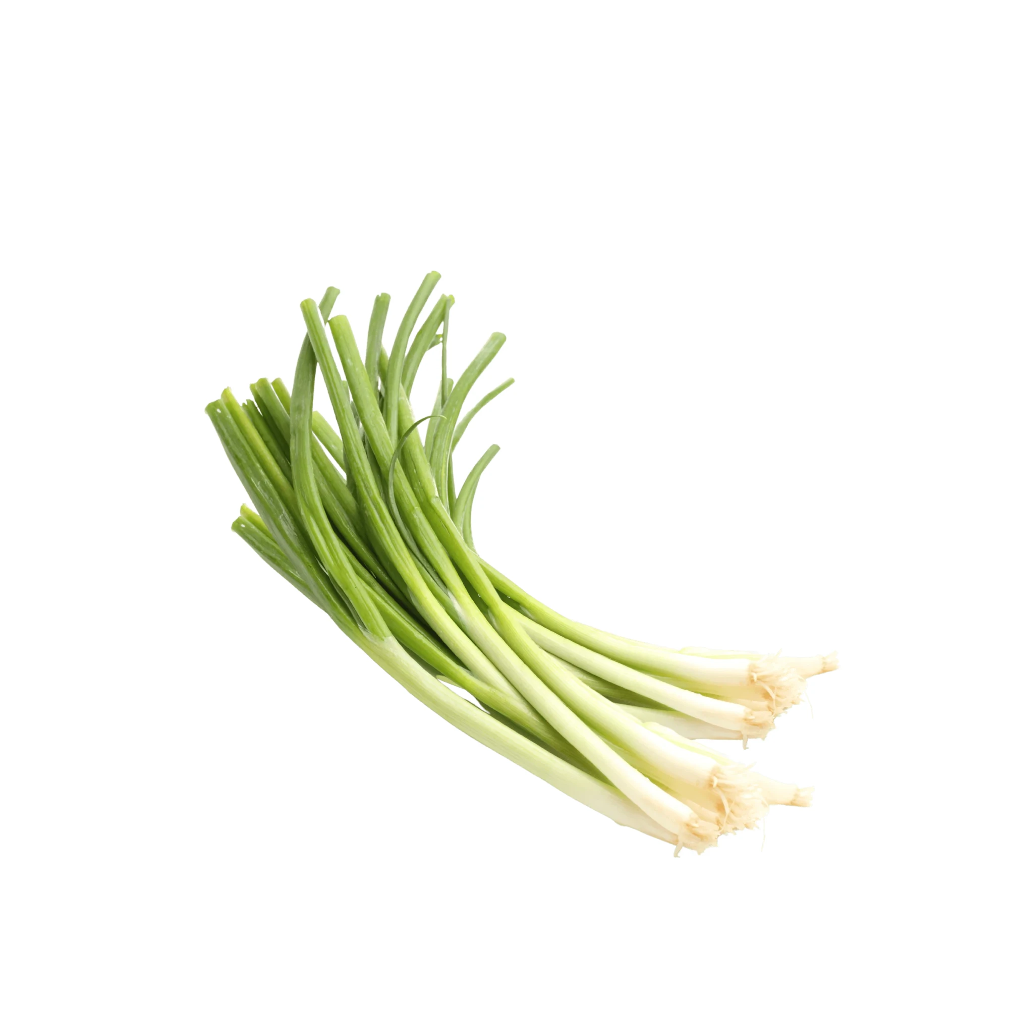 Fresh Green Onion 1 bunch