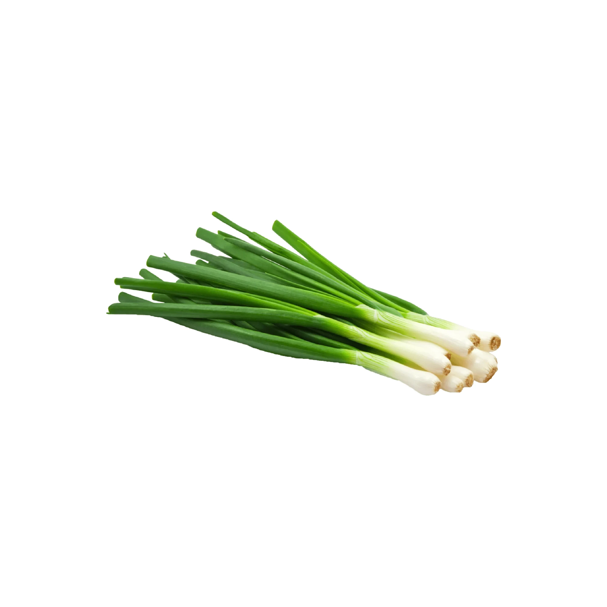 Alternative view of Fresh Green Onion 1 bunch