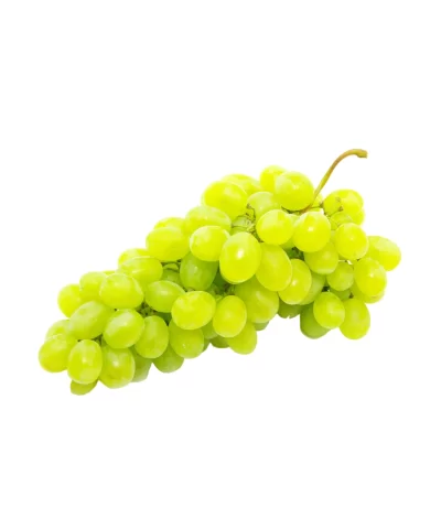 Alternative view of Green Seedless Grapes 2lbs.