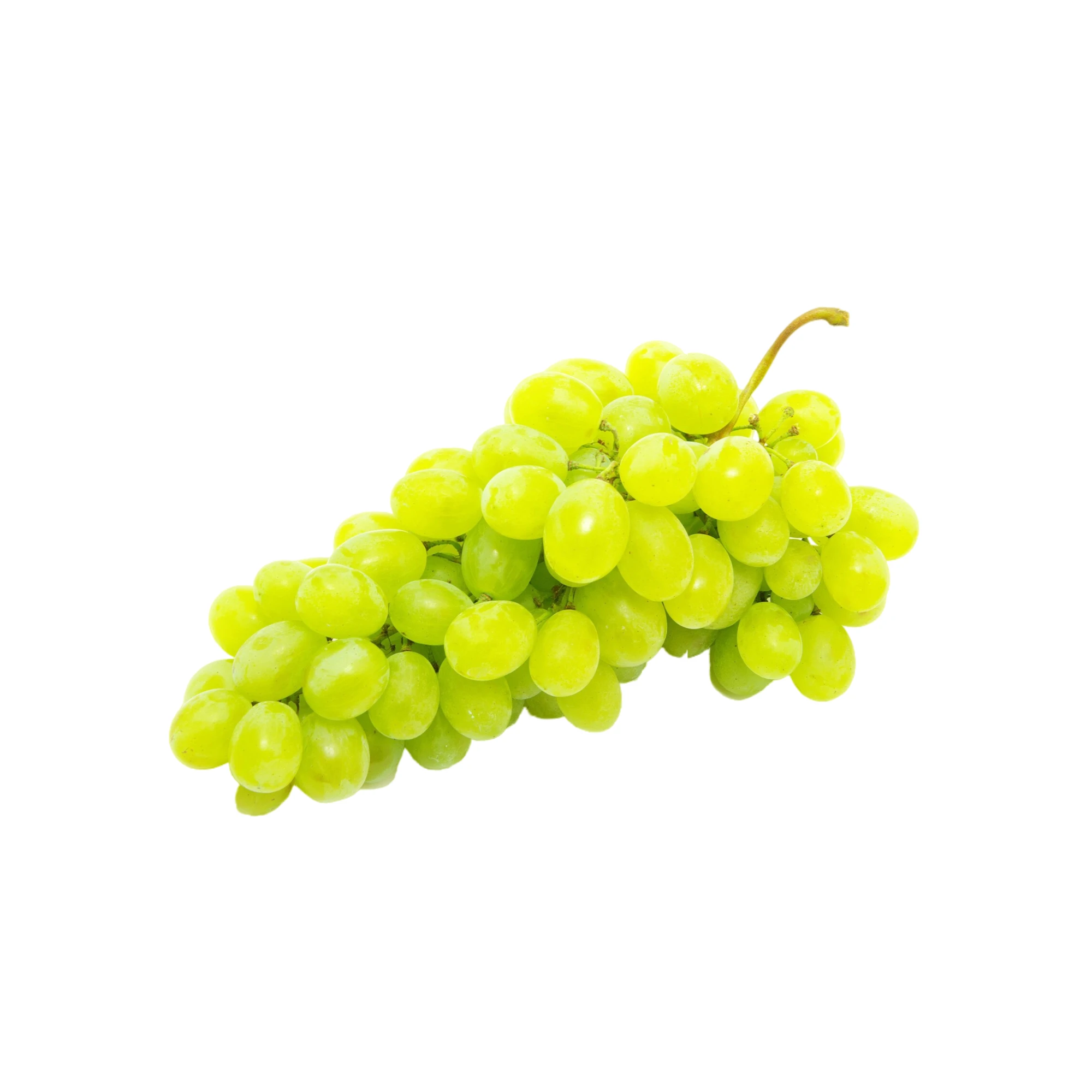 Alternative view of Green Seedless Grapes 2lbs.
