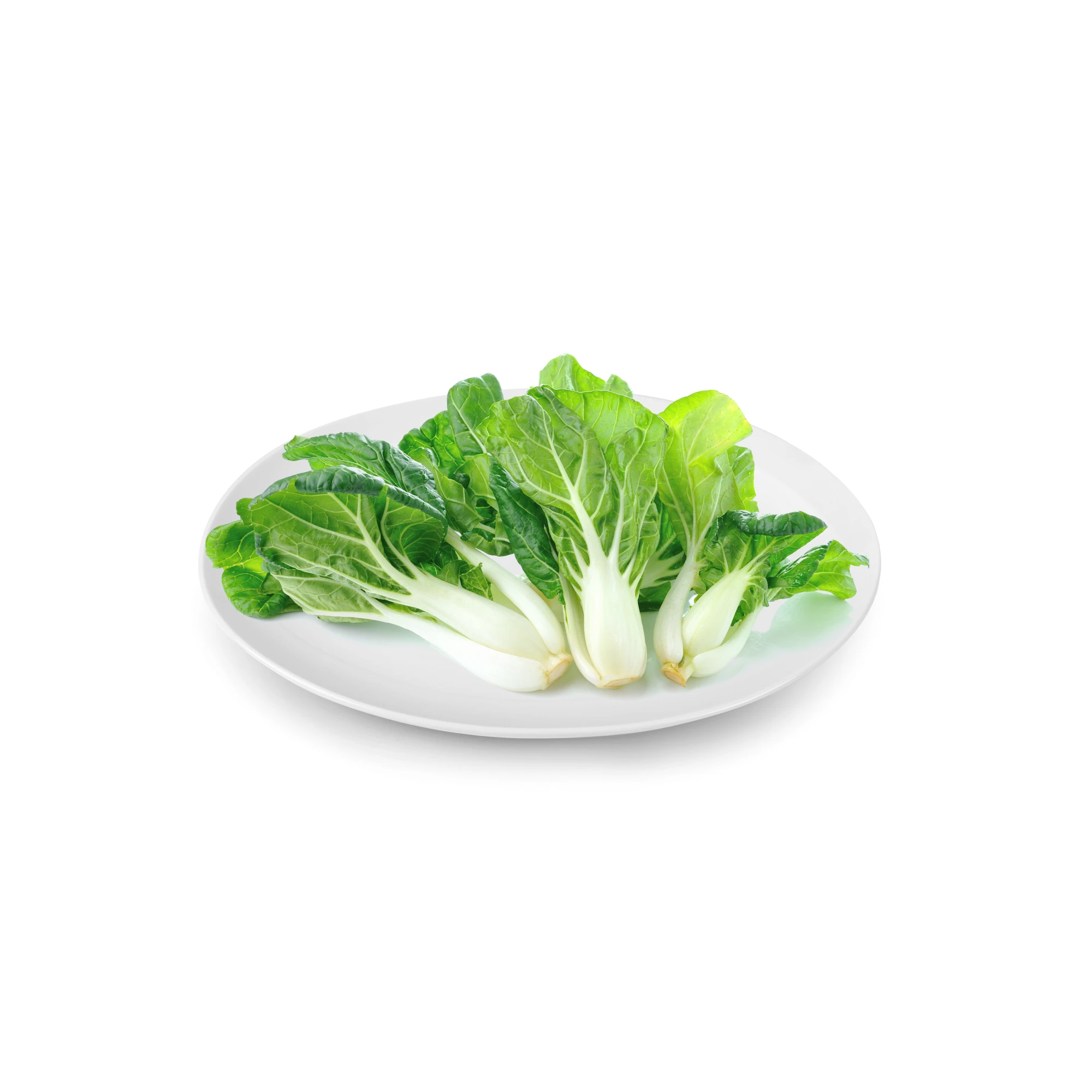 Alternative view of Shanghai Bok Choy 2 lbs.