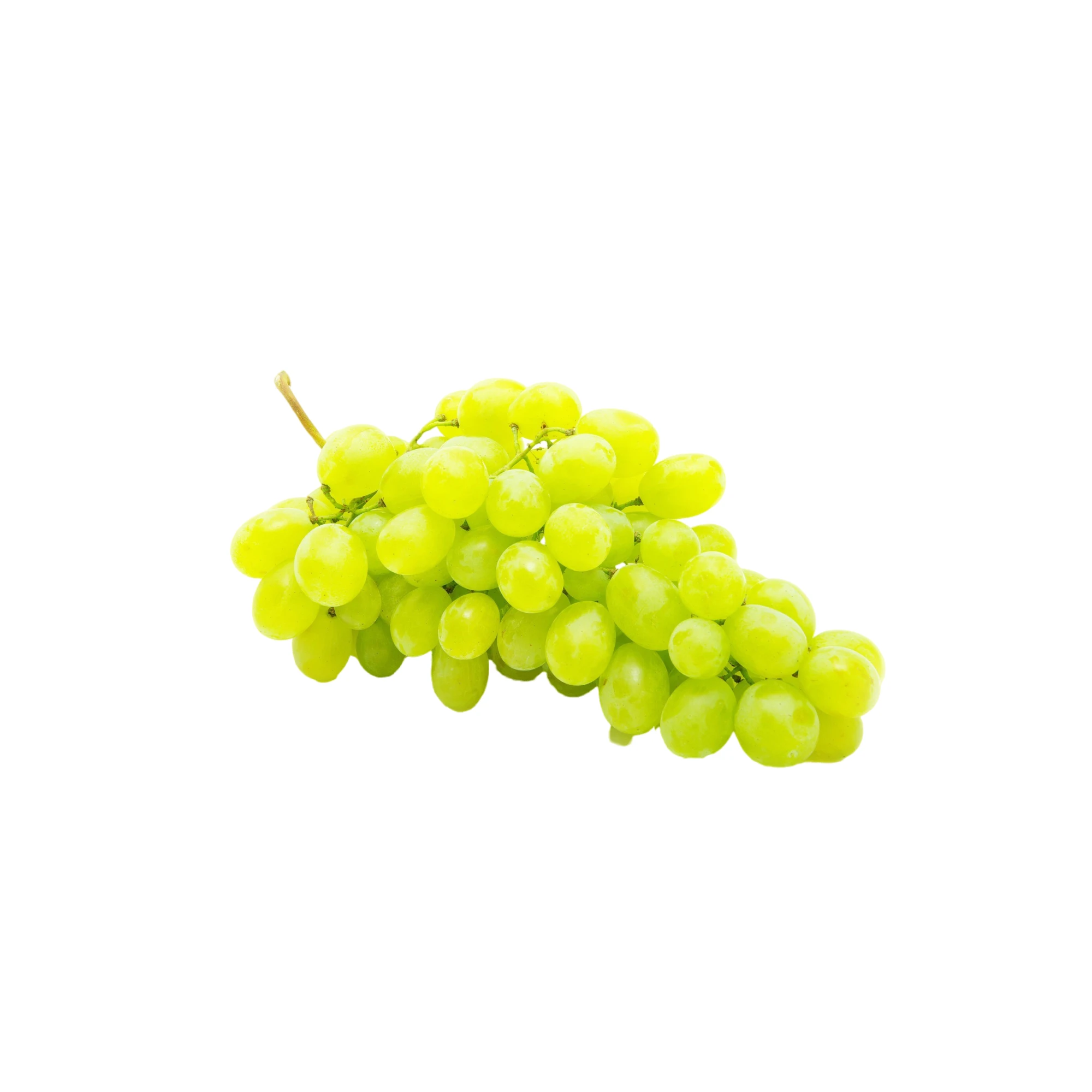 Green Seedless Grapes 2lbs.