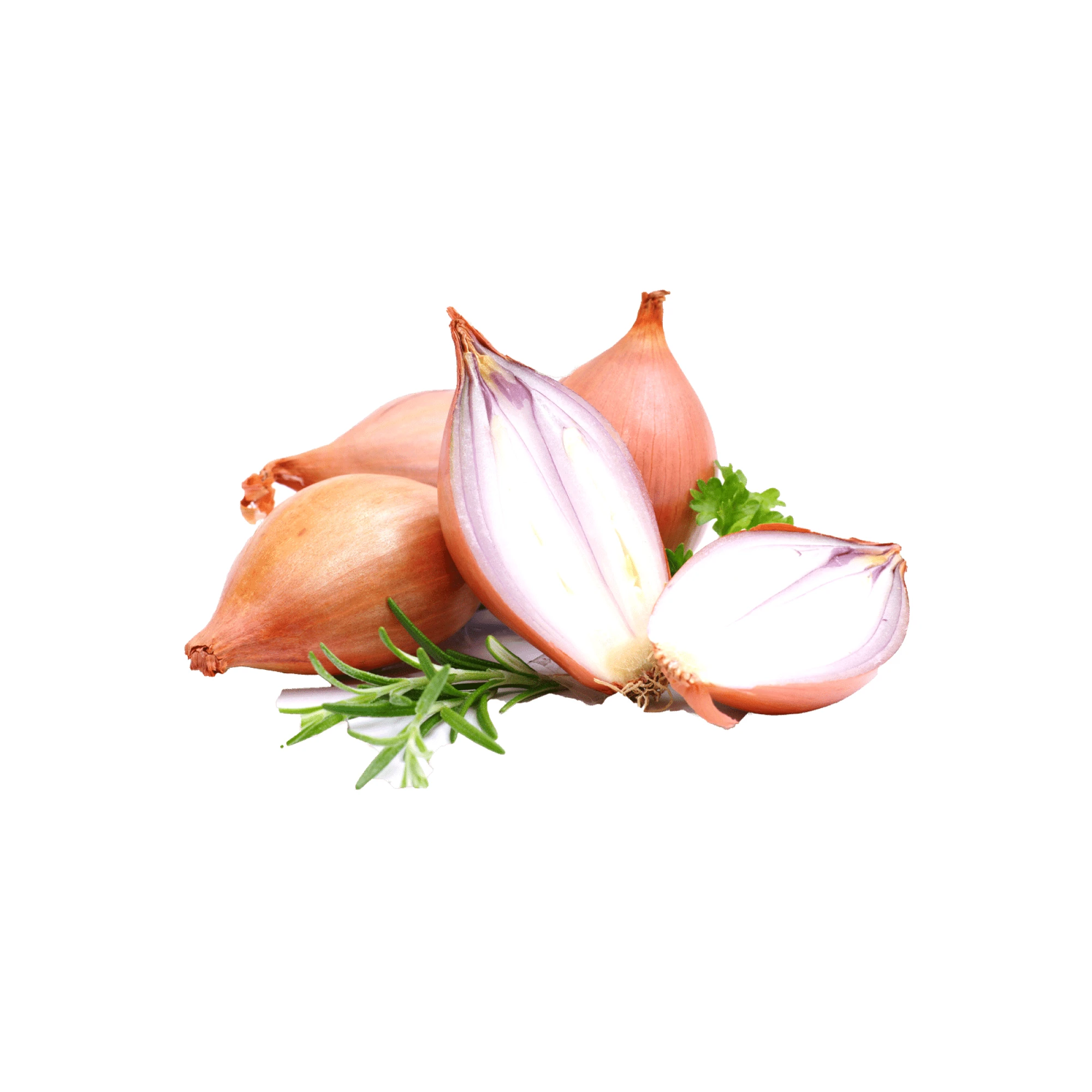 Alternative view of American Shallot 1.7 - 2.5lbs.