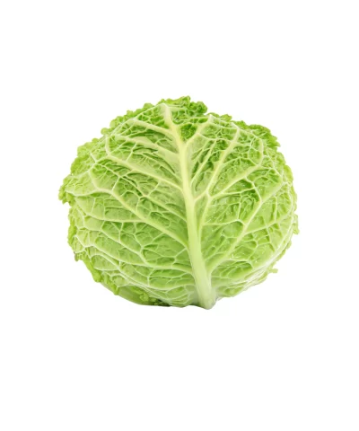Alternative view of Organic Green Cabbage 1lb