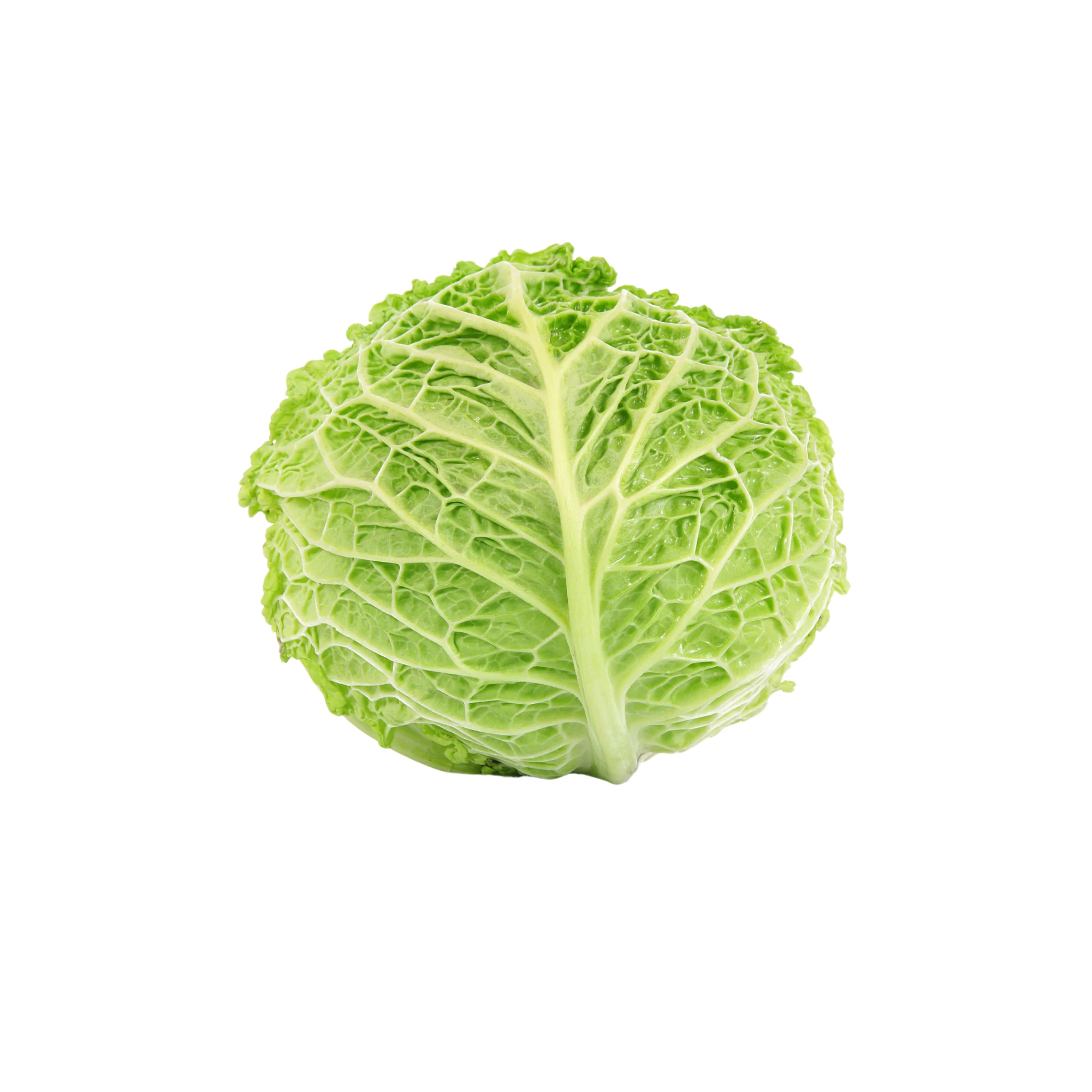 Alternative view of Organic Green Cabbage 1lb