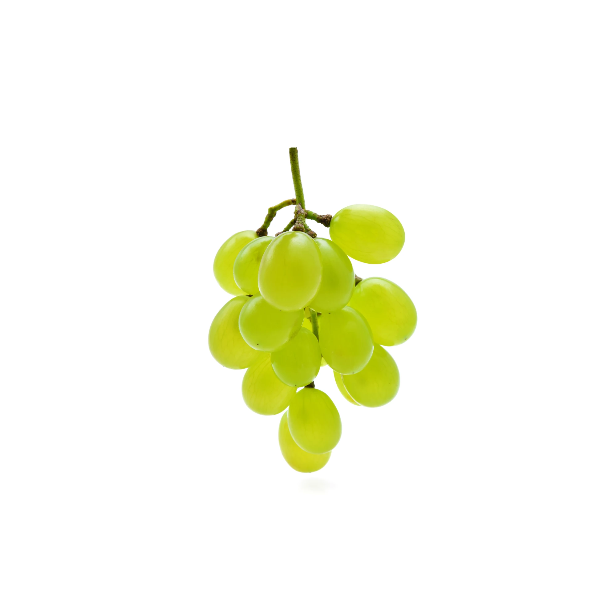 Alternative view of Cotton Candy Grape 1lb.