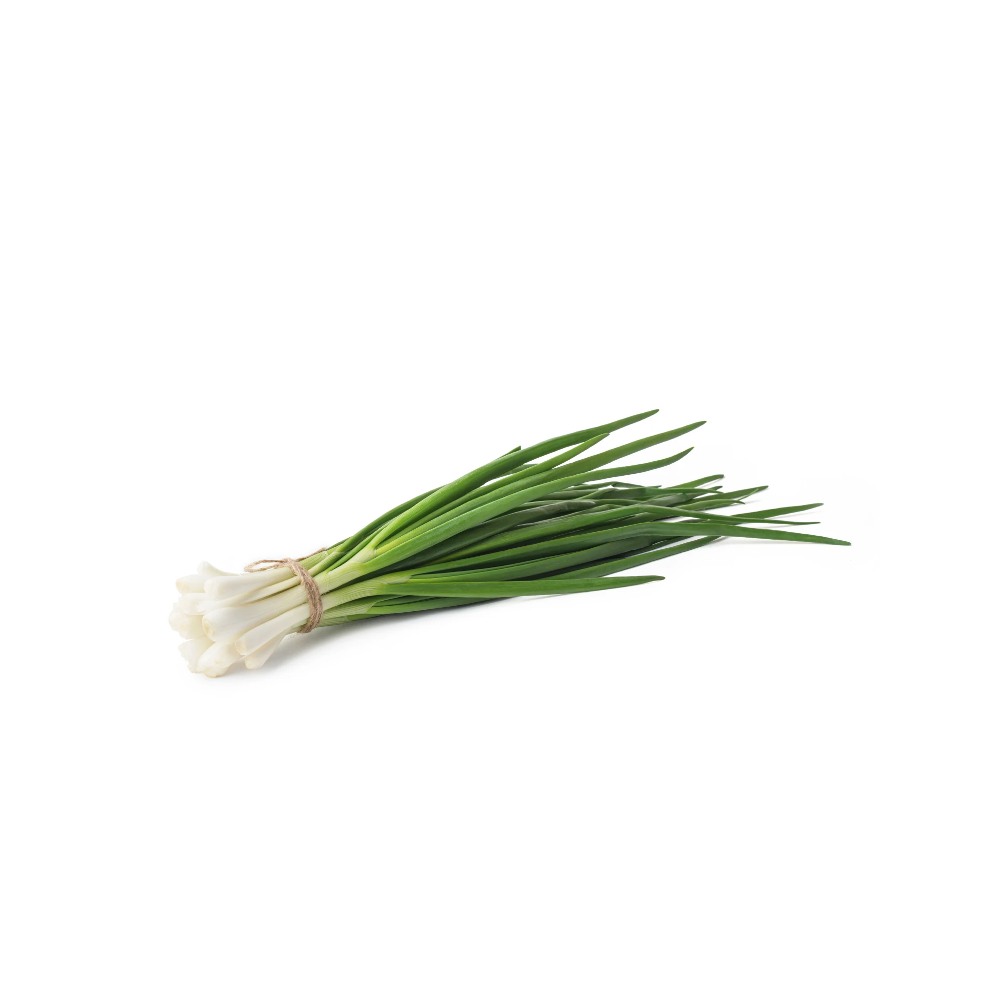 Organic Green Onion 4.5 oz