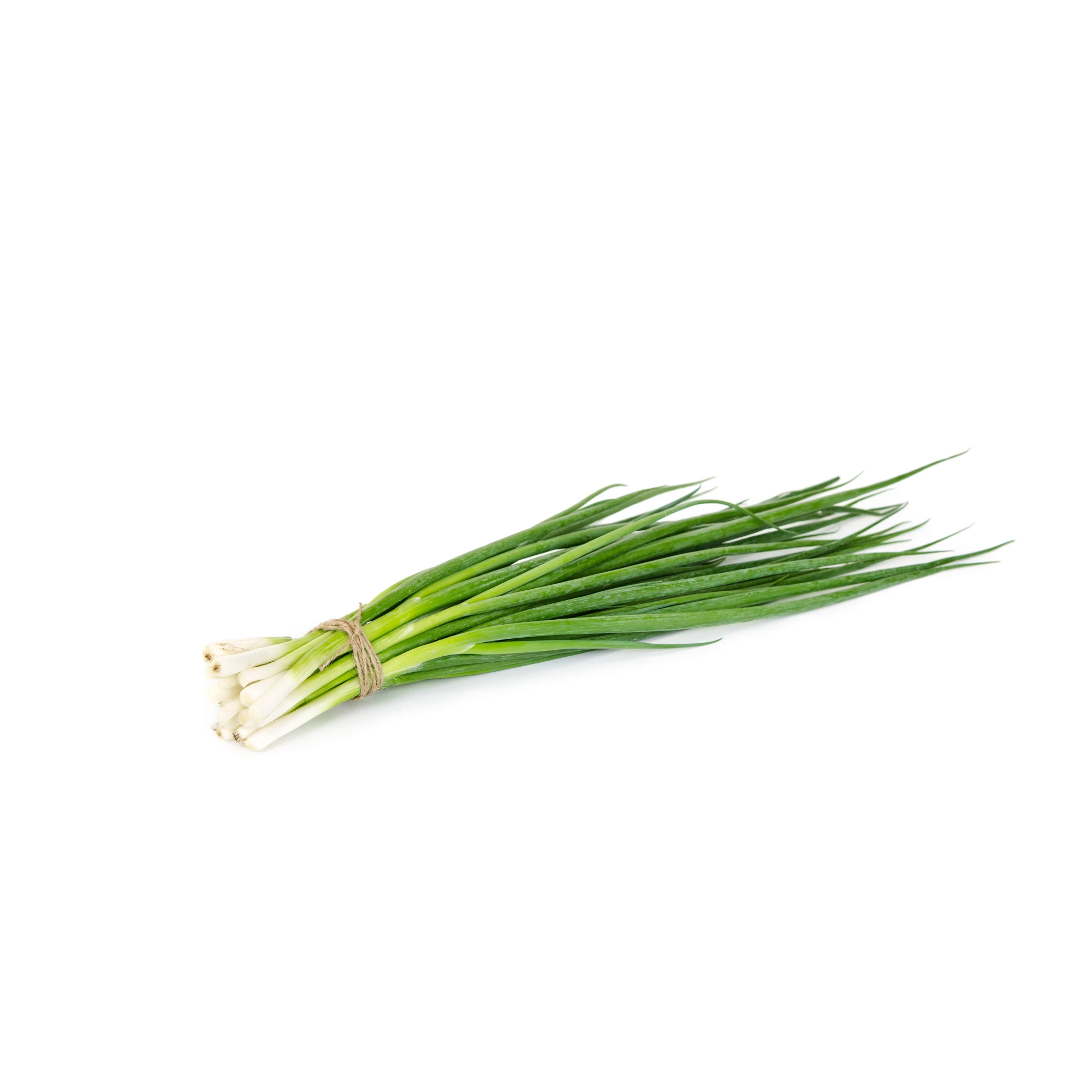 Alternative view of Organic Green Onion 4.5 oz
