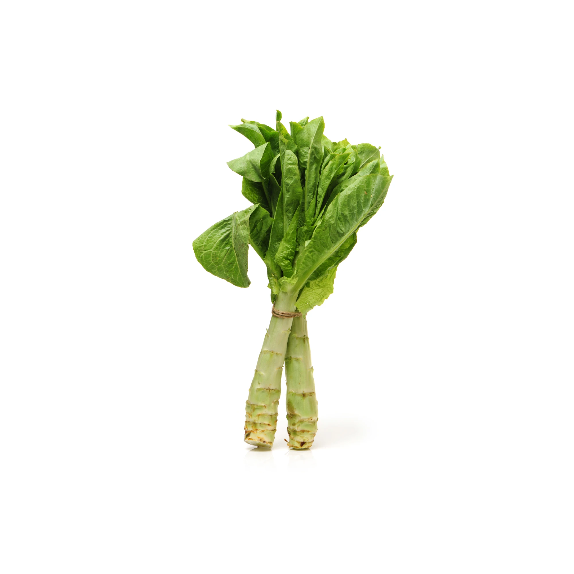 A Choy Sum 2.3-2.6 lbs.