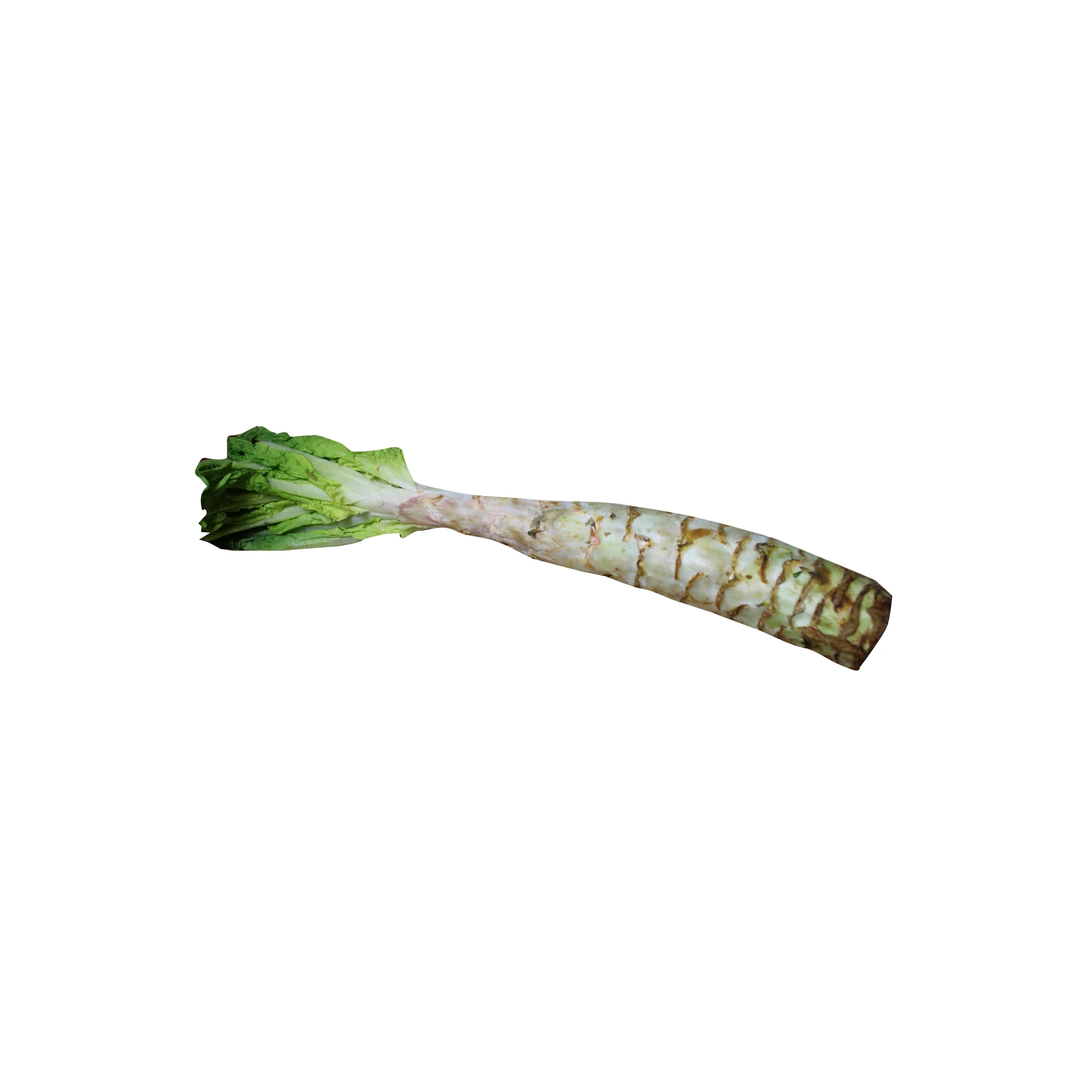 Alternative view of A Choy Sum 2.3-2.6 lbs.