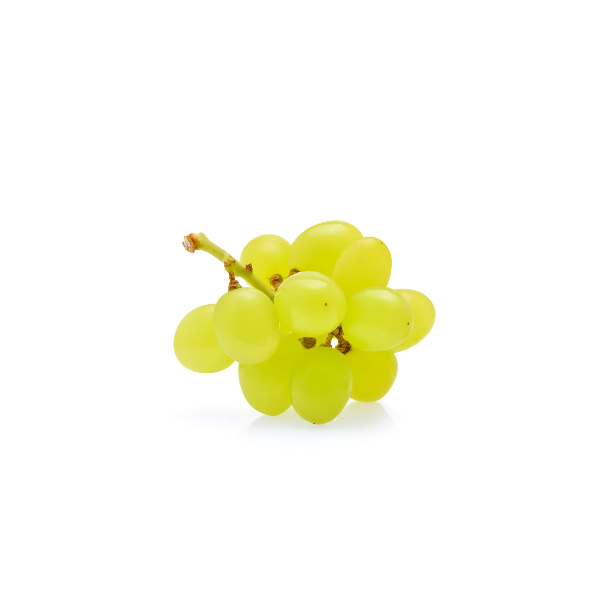 Cotton Candy Grape 1lb.