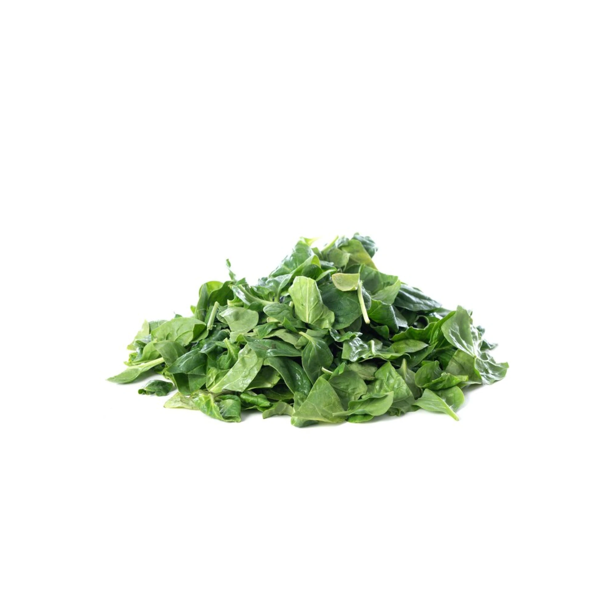 Pea Tip Leaves 1lb