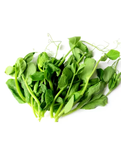 Alternative view of Pea Tip Leaves 1lb