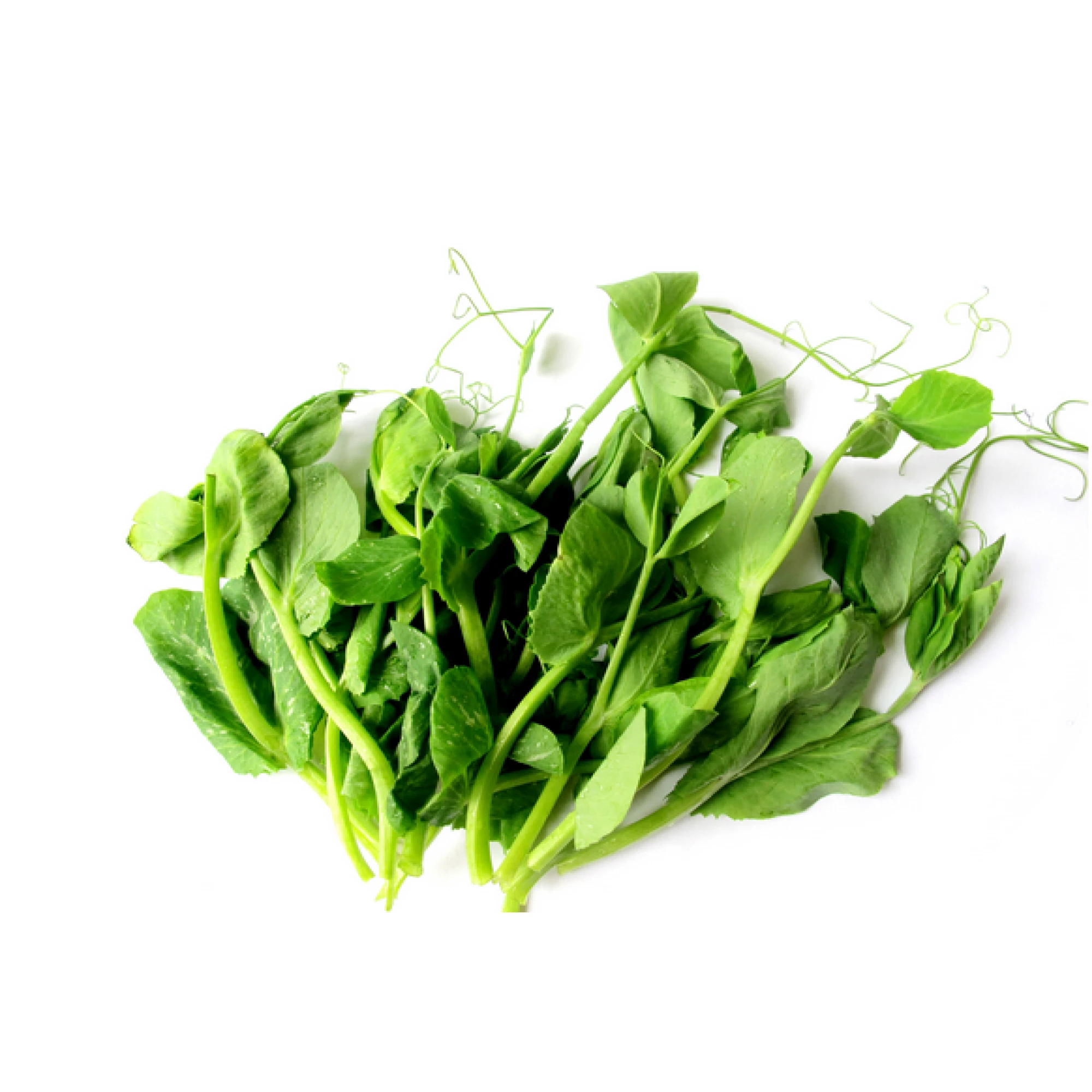 Alternative view of Pea Tip Leaves 1lb