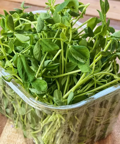 Pea Tip Leaves 1lb - Image 3
