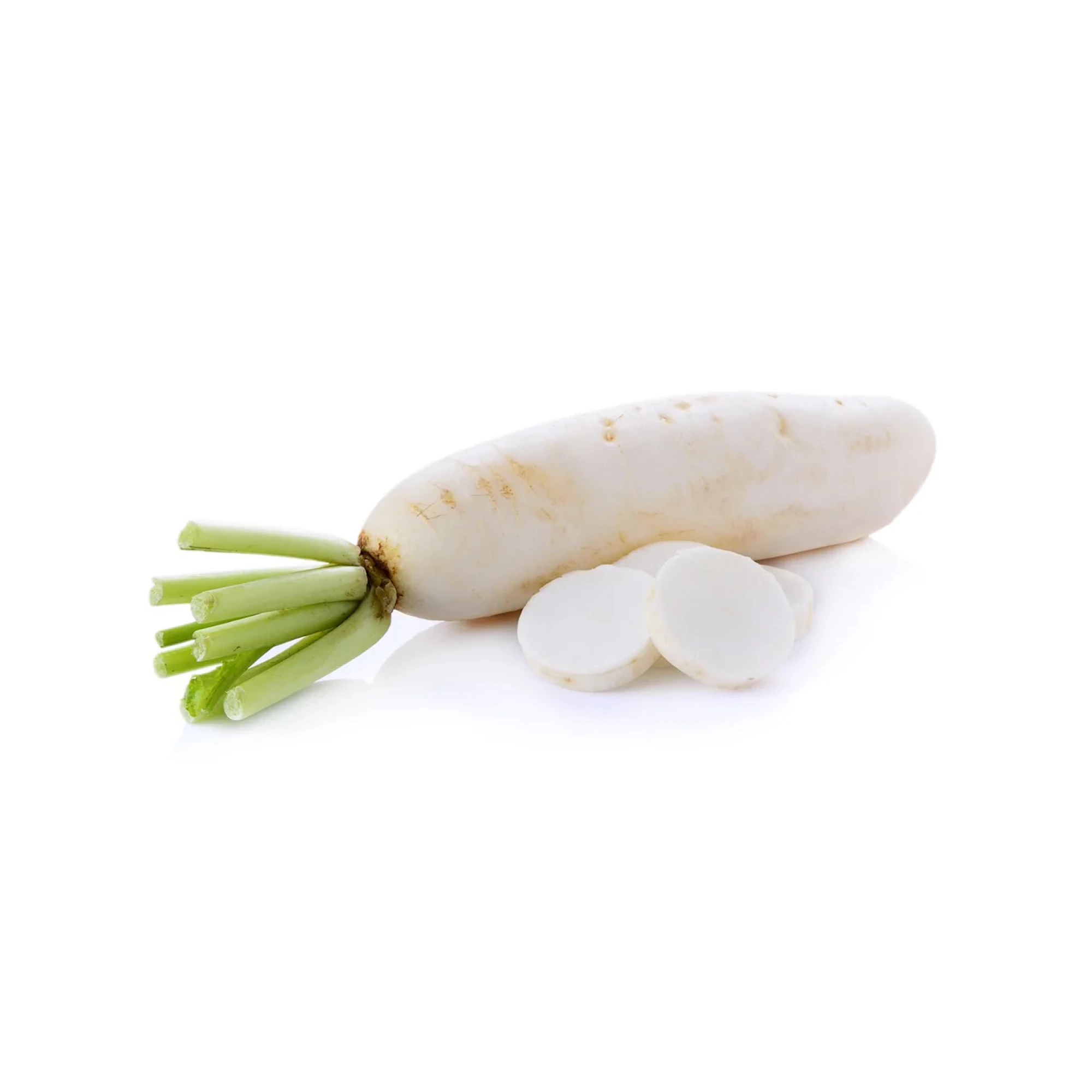 Japanese White Daikon Radish 1.7 - 2.5lbs.