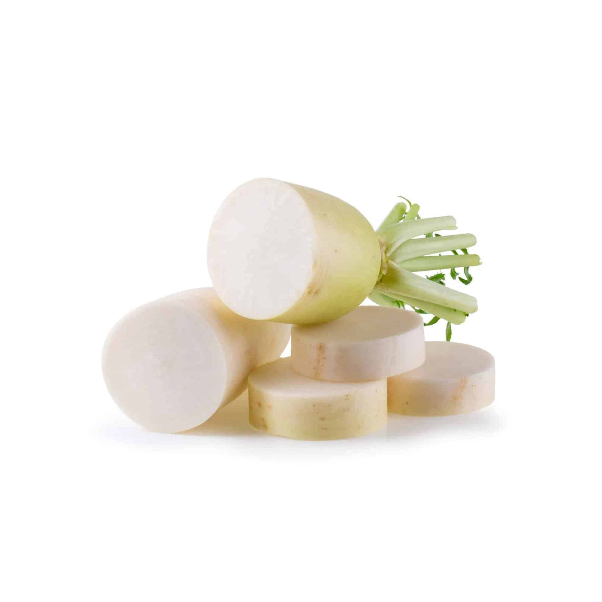 Alternative view of Japanese White Daikon Radish 1.7 - 2.5lbs.