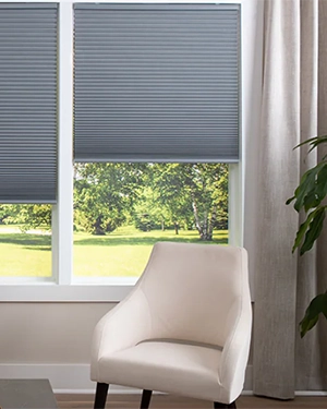 Blinds, Shades & Shutters