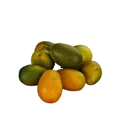 13 10