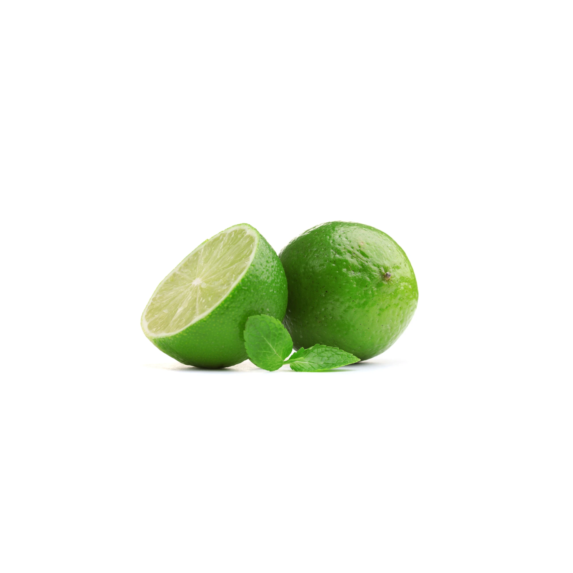 17 6