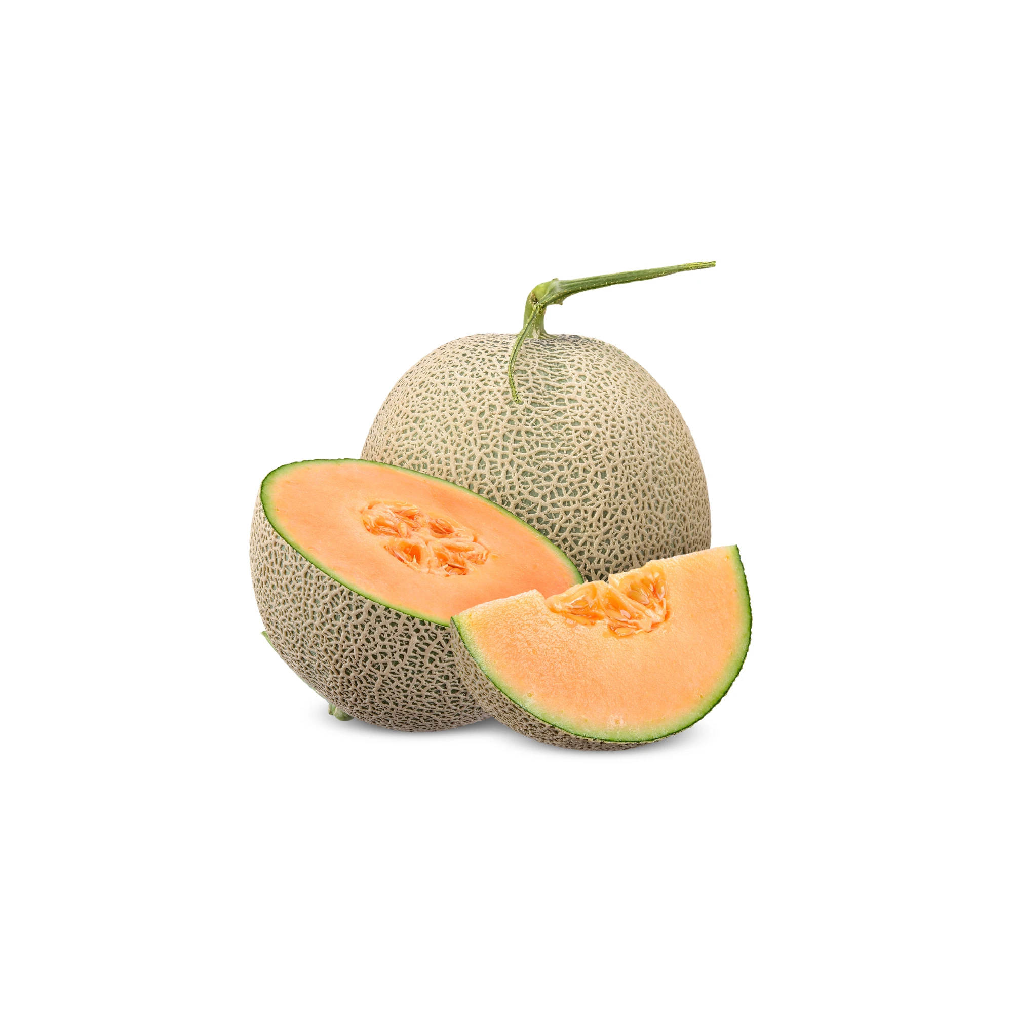 Fresh Cantaloupe 1 Each