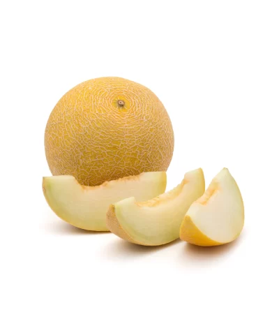 Alternative view of Galia Melon 1 Each