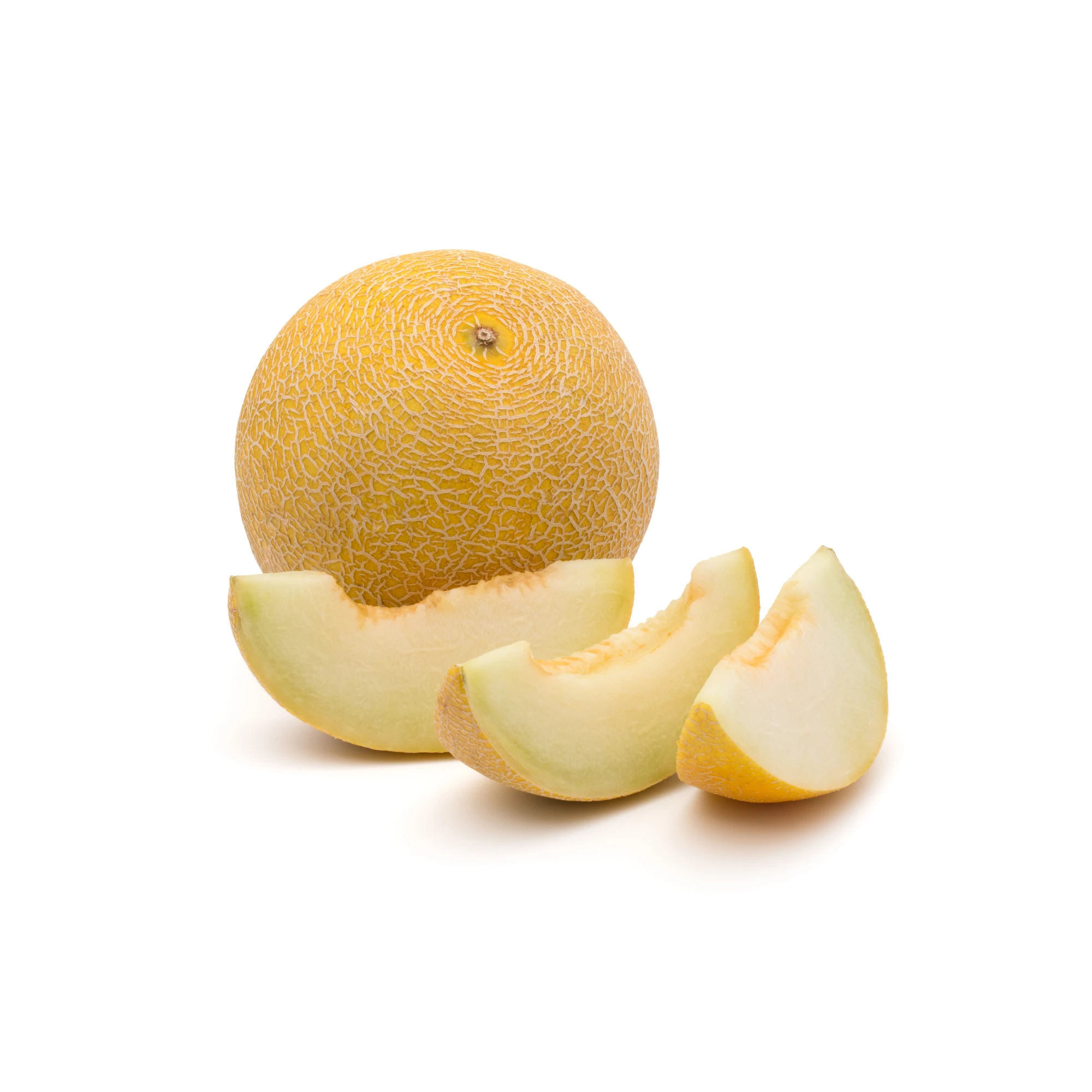 Alternative view of Galia Melon 1 Each