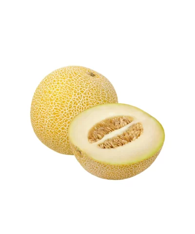 22 6