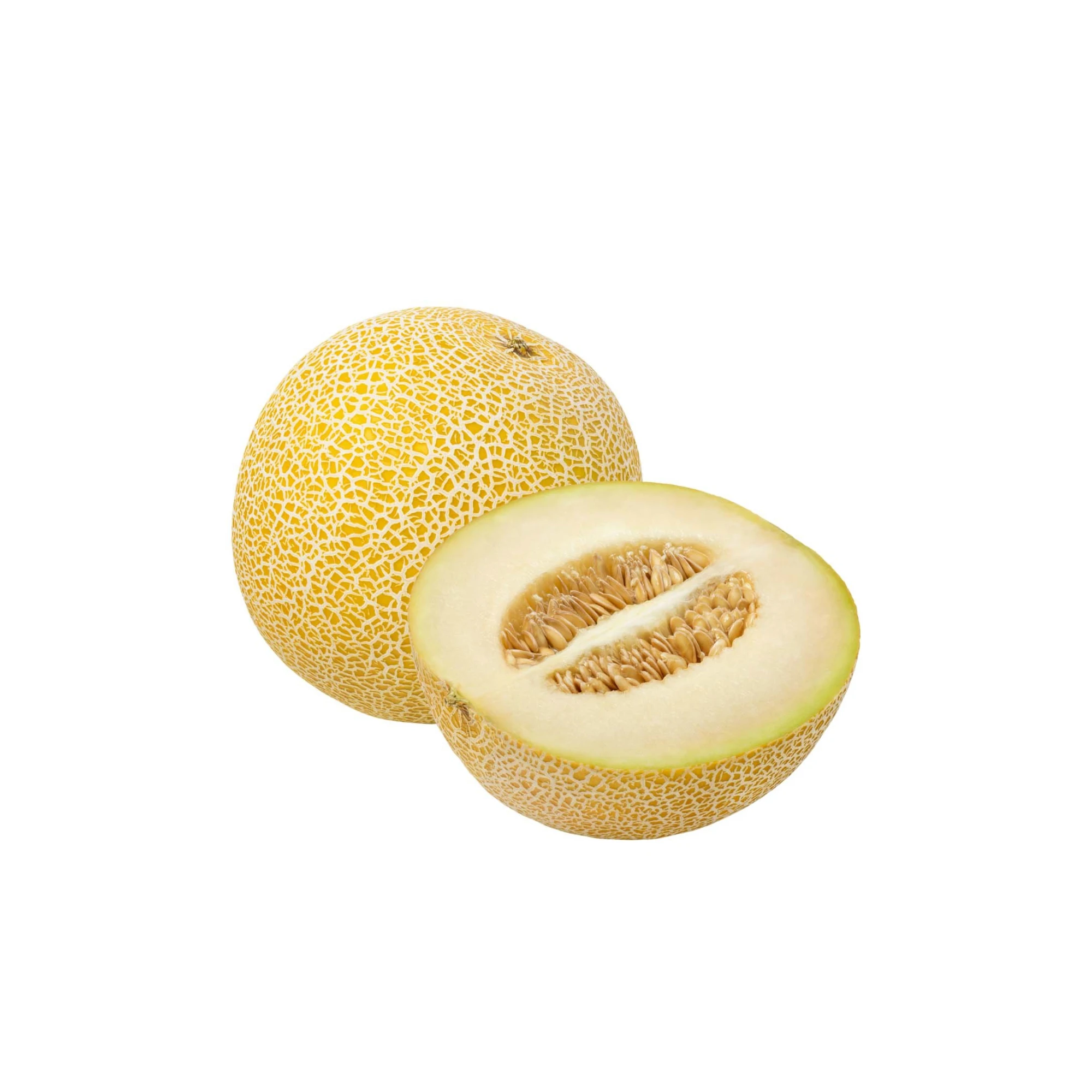 22 6