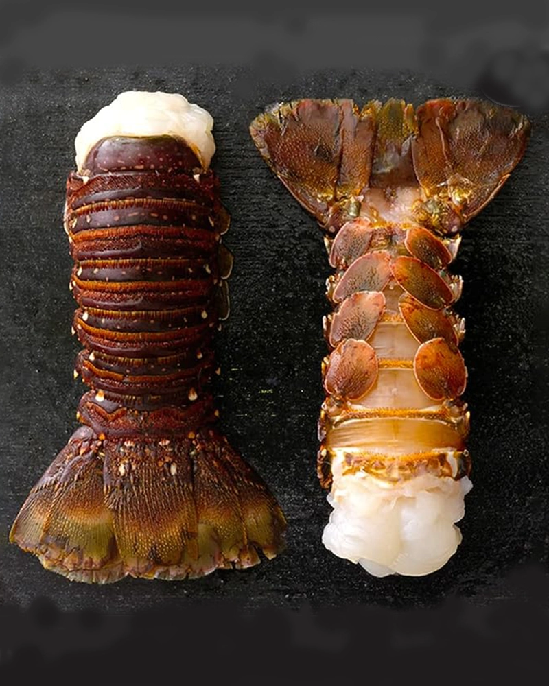 Alternative view of Warm Water Lobster Tails (Caribbean, XL) by the pound